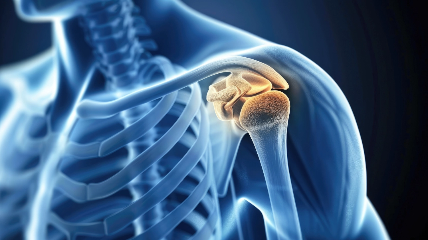 Dr. Tareq Soumma Cum Laude - Orthopäde für Hüfte - 3D-Darstellung des Schultergelenks